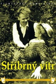 Stříbrný vítr