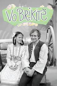 Vo Brikitě