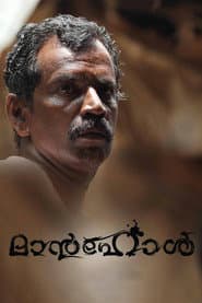 മാന്ഹോള്
