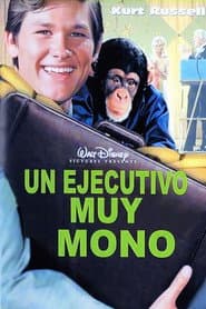 The Barefoot Executive