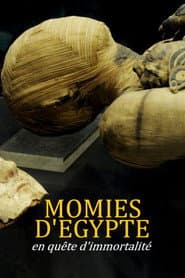 Momies d'Égypte, en quête d'immortalité