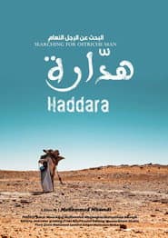 Searching for Ostrich Man Haddara