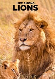 Life Among Lions