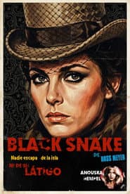 Black Snake