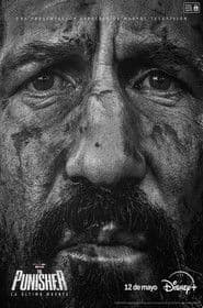 The Punisher: La última muerte