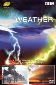 Wild Weather