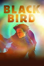 Blackbird