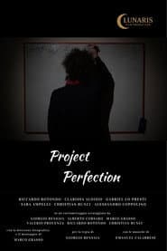 Proyecto Perfección