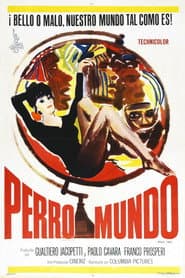Perro mundo