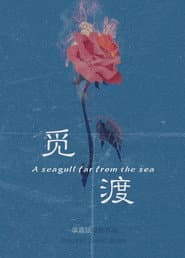 觅渡
