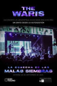 The Waris: La Cosecha de las Malas Siembras (En Vivo)