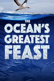 La fiesta más grande del Oceáno (The Ocean’s Greatest Feast)