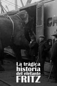 La Tragique Histoire de Fritz l'éléphant