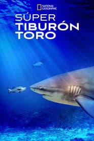 World's Biggest Bull Shark?