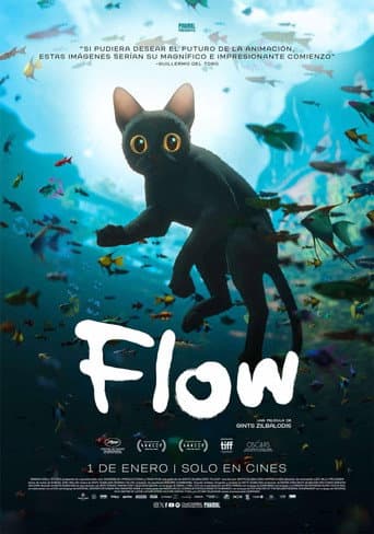 Flow