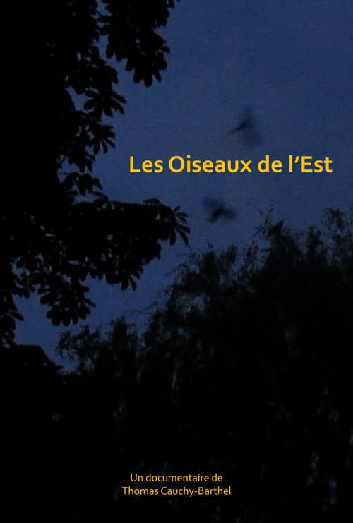 Les oiseaux de l'Est
