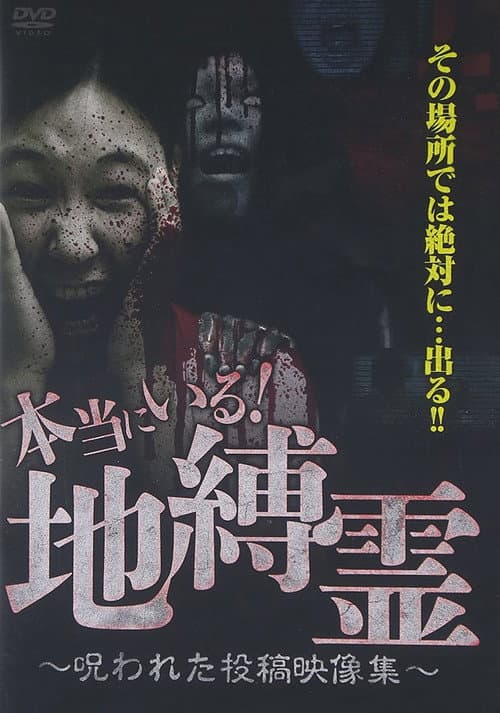 本当にいる!地縛霊~呪われた投稿映像集~