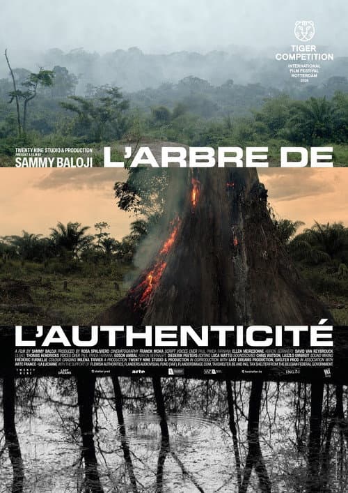 L'arbre de l'authenticité