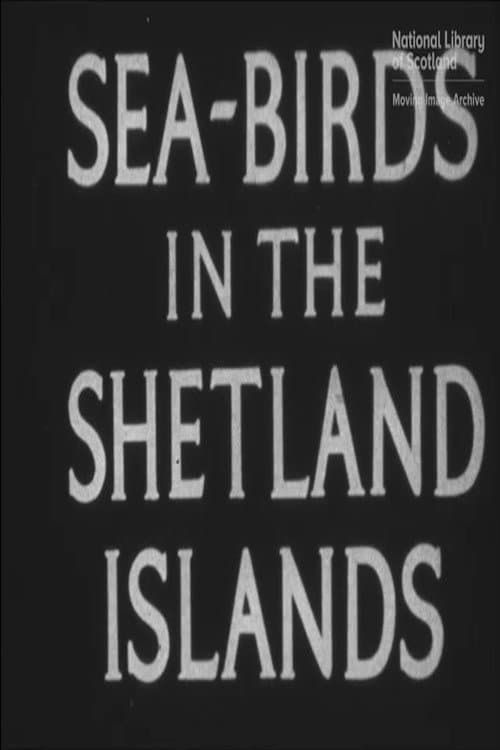 Seabirds in the Shetland Islands