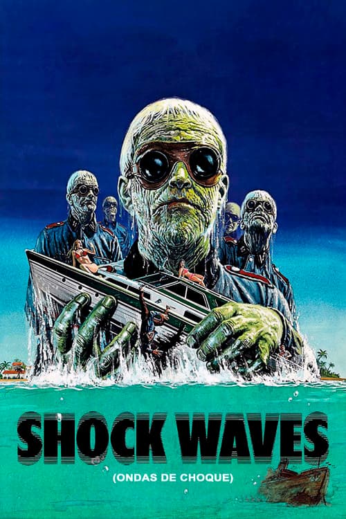 Shock Waves