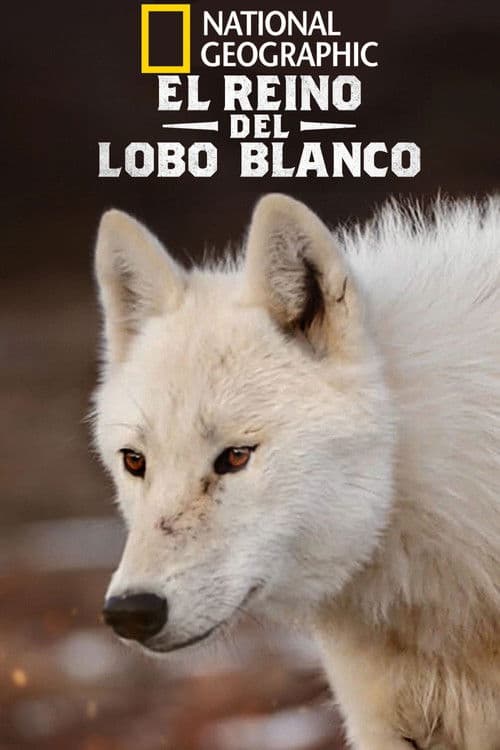 Kingdom of the White Wolf