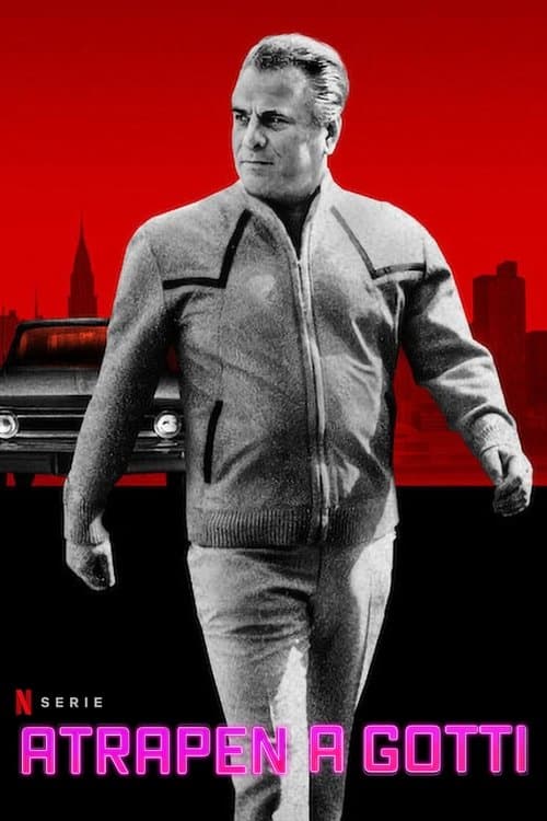 Atrapen A Gotti