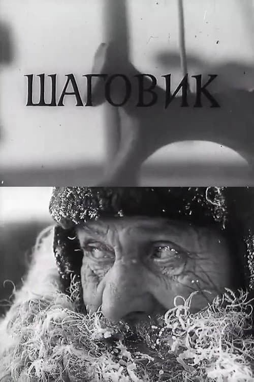 Шаговик